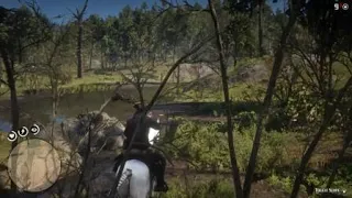 RDR2 Eagle catches fish