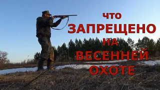 Запреты на ВЕСЕННЕЙ охоте! Что необходимо знать охотнику?