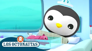 Los Octonautas - El pepino de mar de moco resbaladizo | Episodios Completos