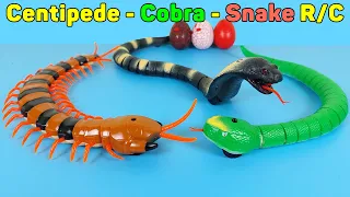 RC Centipede, Cobra, Snake Remote Control, Simulation And Rechargeable | Unboxing & Review