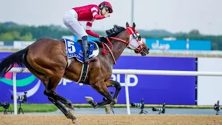 FOREVER YOUNG (Ryusei Sakai) - G2 UAE Derby