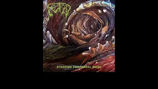 Fetid - Steeping Corporeal Mess (Full Album)