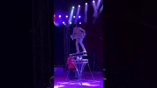 Rola bola Circo Gigante de México