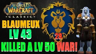 WoW Classic | Night Elf Hunter | Server: Blaumeux (PvP) | Lv 43 | Vid 47 | STV, Badlands - PvP!