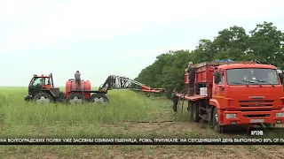 В Волгоградской области завершается уборка зерновых культур