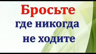 Заговор на удачу в бизнесе. Энергия слова.