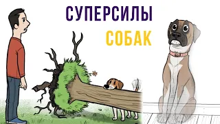 Комиксы. Суперсилы собак | Мемозг #286