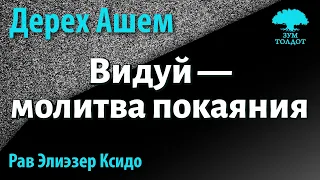 [58 часть] Видуй — молитва покаяния. Дерех Ашем. Рав Элиэзер Ксидо