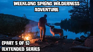 Weeklong Spring Wilderness Adventure With My Dog (Part 5 of 5) [Extended Series]