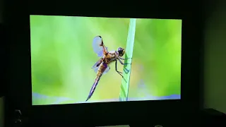 Dangbei Mars Pro 4K laser projector review