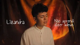 Lizandra - Não aprendi dizer adeus (Lyric Video)