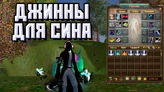 ГАЙД ДЖИНН ДЛЯ СИНА В ПВ НА ВСЕ СЛУЧАИ ЖИЗНИ PERFECT WORLD