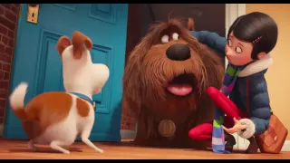 Тайная жизнь домашних животных    The Secret Life of Pets 2016 трейлер