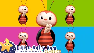 Ladybug, Ladybug, Ladybug… | Little Baby Bum Animal Club | Fun Songs for Kids