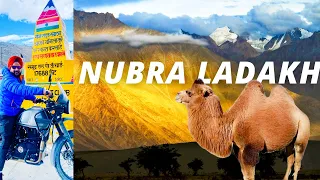 Nubra Valley Unveiled: A Breathtaking Journey Through Ladakh