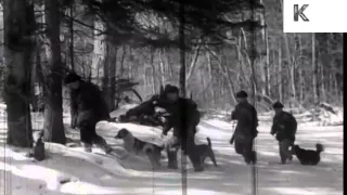 Early 1950s Soviet Russia, Tiger Hunting in Siberia