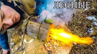 7 ПРОСТЫХ СОВЕТОВ ДЛЯ ЛЕСА | 7 BUSHCRAFT TIPS