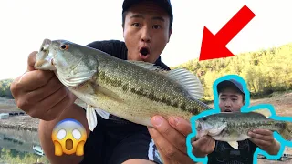 CRAZY BASS ACTION I’VE EVER EXPERIENCED PART 2!!! (@SHASTA LAKE REDDING, CA) (FISH SHAUN VLOGS #7)