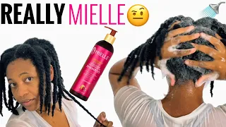 HONEST REVIEW | Mielle Pomegranate & Honey moisturising & detangling shampoo