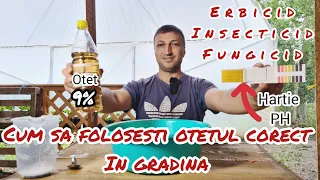 Cum sa folosesti corect otetul în gradina ca Insecticid fungicid si erbicid bio