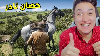 صيد الأحصنة النادرة 😱 ريد ديد 2 RDR2 🔥