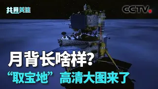 月背“挖宝”顺利结束 期待嫦娥六号回家 嫦娥六号完成世界首次月球背面采样和起飞 20240604 | CCTV中文《共同关注》