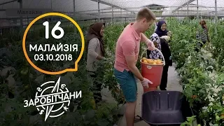 Заробітчани - Малайзия - Выпуск 16 - 03.10.2018