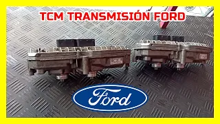 Ford Focus y Fiesta | Módulo de control de transmisión TCM