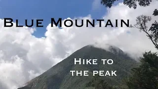 Hike up Blue Mountain, Jamaica