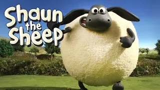 Supersize Timmy - Shaun the Sheep