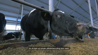 Reducing Emissions from Livestock – We Make it Possible (Dutch)