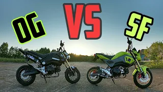 Don't Buy A Honda Grom | Until You Watch this!!