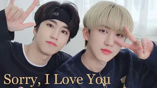 Binsung - Sorry, I Love You [FMV]