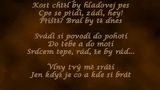 Aneta Langerová - Srdcotepec (LYRICS)