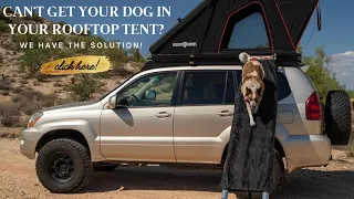 CAN'T GET YOUR DOG IN YOUR ROOFTOP TENT? WE HAVE A SOLUTION!