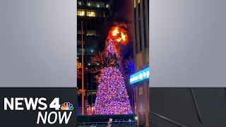 Man Arrested in ‘Malicious Arson Attack' on Christmas Tree at FOX News in Midtown | News 4 Now