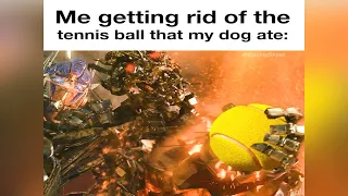Me getting rid of the tennis ball that my dog ate: (Transformers 2 Meme)
