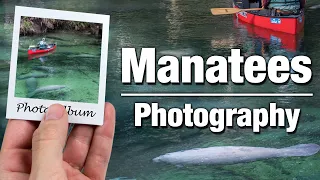 Manatees! Fujifilm Instax Square Photo Album Photography Walk