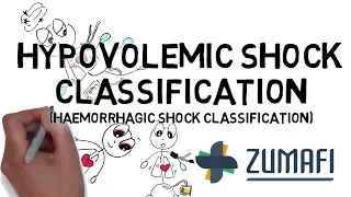 Hypovolemic Shock - Classification