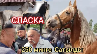 Ноокатта 1.70 см  Аттар Сатылды 100 мин  пайдага  урду  😱