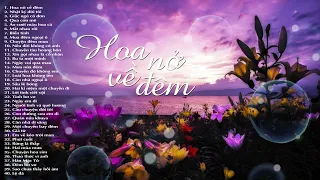 Hoa Nở Về Đêm, Nhật Ký Đời Tôi, Biển Tình - Top 40 Bài Nhạc Vàng Bolero Được Nghe Nhiều Nhất