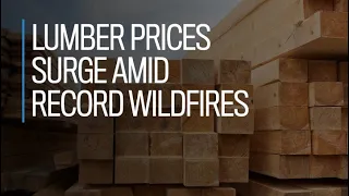 Lumber prices surge amid record wildfires