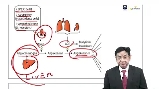 MRCP Part 1 CARDIOLOGY TEST  25