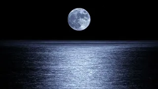 Serenity by the Sea: Moonlit Meditation for Inner Peace and Calm