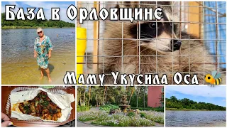 Маму укусила Оса 🐝 Ужин на 250 грн 💰 Отдых в Орловщине 🌅🏠