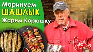 Секреты шашлыка от Макаревича. Корюшка жареная у Макара на даче. СМАК - мужская кухня