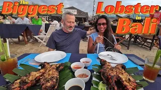 Who doesn’t LOVE Bali’s BIGGEST LOBSTERS?