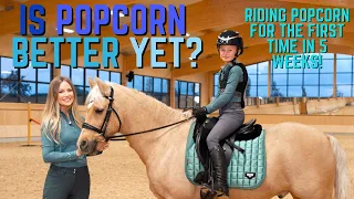IS POPCORN BETTER YET? Riding my pony for the first time in 5 weeks!