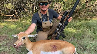 Spot And Stalk BlackBuck With An Airgun (Catch Clean Cook)