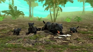 Wild Panther Sim 3D Android Gameplay